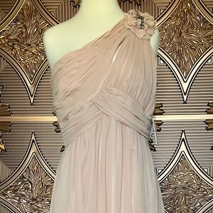 Calvin Klein Soft Blush Chiffon Gown